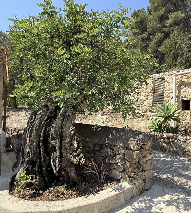 Resa Estates Ibiza koop  finca sale san augustin exterior 2.jpeg